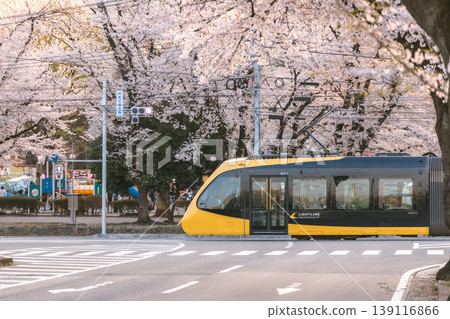 Utsunomiya LRT running along a row of cherry trees and the spring cityscape Utsunomiya LRT running along a row of cherry trees and the spring cityscape 139116866