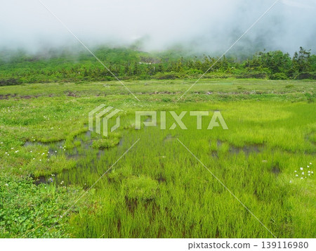 Summer at Mt. Hakuba and Tenguhara Marsh Summer at Mt. Hakuba and Tenguhara Marsh 139116980