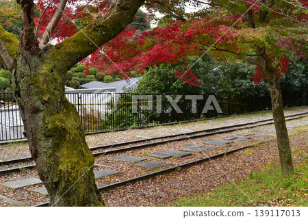 Lake Biwa Water Incline Incline 139117013