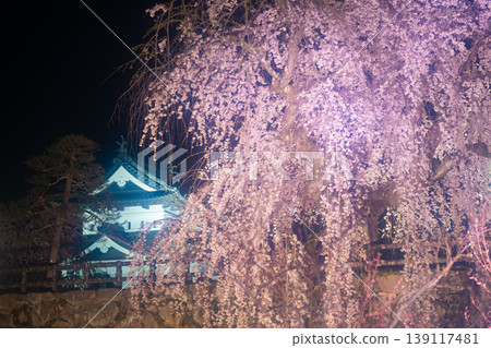 櫻花節期間的弘前公園 櫻花節期間的弘前公園 139117481