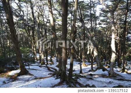 Winter scenery of Mt. Amigasa and Mt. Nishidake in late February (Fujimi Town, Nagano Prefecture and Hokuto City, Yamanashi Prefecture) Winter scenery of Mt. Amigasa and Mt. Nishidake in late February (Fujimi Town, Nagano Prefecture and Hokuto City, Yamanashi Prefecture) 139117512
