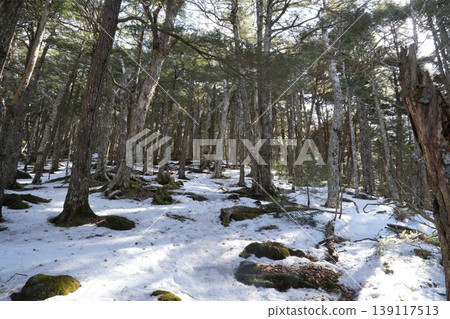 Winter scenery of Mt. Amigasa and Mt. Nishidake in late February (Fujimi Town, Nagano Prefecture and Hokuto City, Yamanashi Prefecture) Winter scenery of Mt. Amigasa and Mt. Nishidake in late February (Fujimi Town, Nagano Prefecture and Hokuto City, Yamanashi Prefecture) 139117513