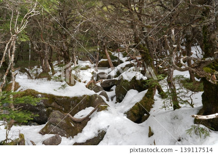 Winter scenery of Mt. Amigasa and Mt. Nishidake in late February (Fujimi Town, Nagano Prefecture and Hokuto City, Yamanashi Prefecture) Winter scenery of Mt. Amigasa and Mt. Nishidake in late February (Fujimi Town, Nagano Prefecture and Hokuto City, Yamanashi Prefecture) 139117514