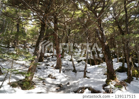 Winter scenery of Mt. Amigasa and Mt. Nishidake in late February (Fujimi Town, Nagano Prefecture and Hokuto City, Yamanashi Prefecture) Winter scenery of Mt. Amigasa and Mt. Nishidake in late February (Fujimi Town, Nagano Prefecture and Hokuto City, Yamanashi Prefecture) 139117515