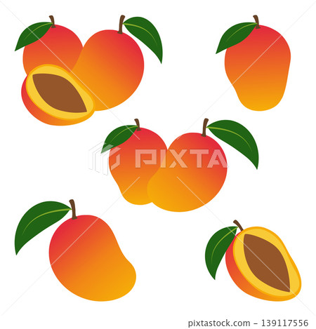 Mango fruit illustrations showing whole and half slices Mango fruit illustrations showing whole and half slices 139117556