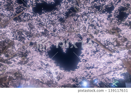 弘前公園:櫻花之心 弘前公園:櫻花之心 139117631