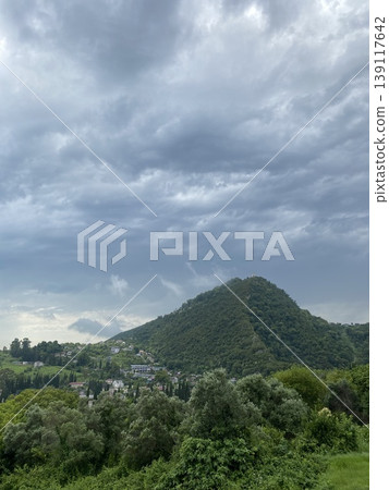 Lush green valley with dense forest and cloudy sky, perfect for nature-themed backgrounds 139117642