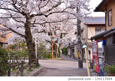 Cherry blossom scenery along Honen-in Street on the Philosopher's Path in Kyoto Cherry blossom scenery along Honen-in Street on the Philosopher's Path in Kyoto 139117694