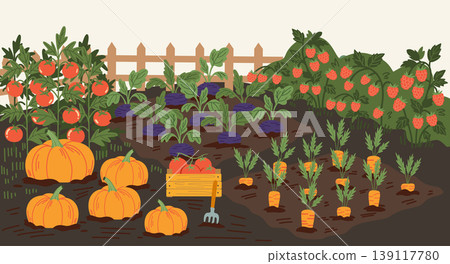 Organic vegetable garden with pumpkins, tomatoes, carrots and raspberries, autumn harvest in the backyard, rural farming landscape vector illustration Organic vegetable garden with pumpkins, tomatoes, carrots and raspberries, autumn harvest in the backyard, rural farming landscape vector illustration 139117780