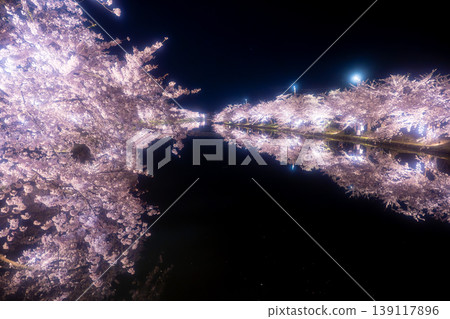 Cherry blossoms at night during the Hirosaki Park Cherry Blossom Festival Cherry blossoms at night during the Hirosaki Park Cherry Blossom Festival 139117896