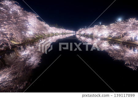 Cherry blossoms at night during the Hirosaki Park Cherry Blossom Festival Cherry blossoms at night during the Hirosaki Park Cherry Blossom Festival 139117899