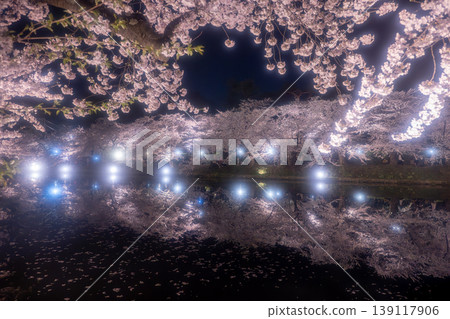 弘前公園櫻花節期間的夜景櫻花 弘前公園櫻花節期間的夜景櫻花 139117906