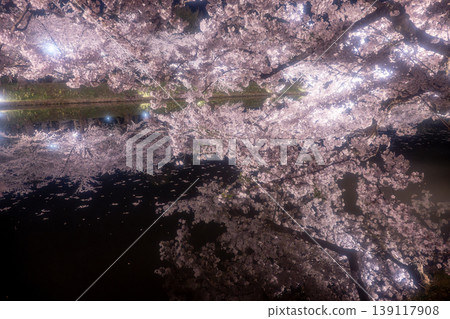 弘前公園櫻花節期間的夜景櫻花 弘前公園櫻花節期間的夜景櫻花 139117908