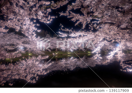 弘前公園櫻花節期間的夜景櫻花 弘前公園櫻花節期間的夜景櫻花 139117909