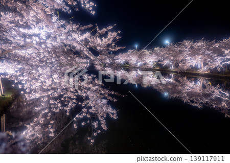 弘前公園櫻花節期間的夜景櫻花 弘前公園櫻花節期間的夜景櫻花 139117911