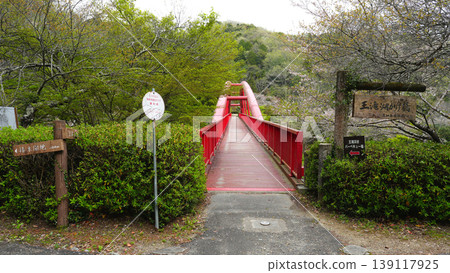 大瀧谷,豐田市 大瀧谷,豐田市 139117925