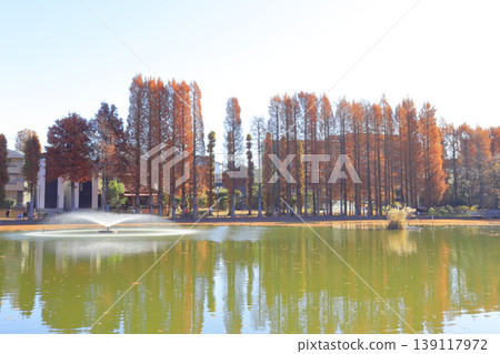 貝肖沼澤公園的秋葉 貝肖沼澤公園的秋葉 139117972
