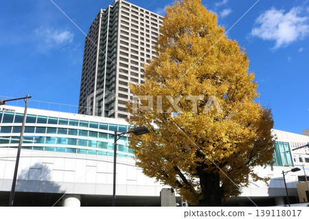 The golden ginkgo tree in front of the station is in full bloom. The golden ginkgo tree in front of the station is in full bloom. 139118017