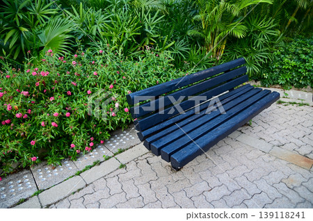 Close-up of the bench in a public park. Relaxation, nature and travel concept. 139118241