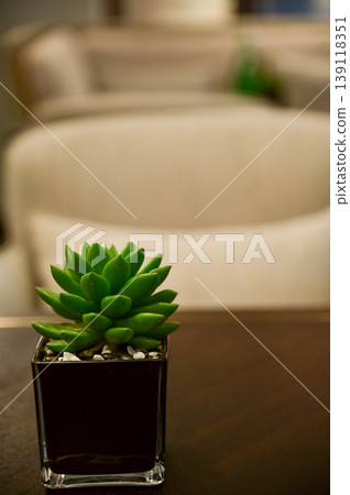 Close-up of the plant on the cafe table, for decoration. Cafe scene. Close-up of the plant on the cafe table, for decoration. Cafe scene. 139118351