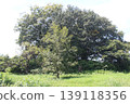Tsukayama Nishi Kofun (ancient burial mound) 139118356