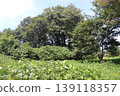 Tsukayama Nishi Kofun (ancient burial mound) 139118357