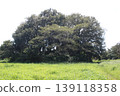 Tsukayama Nishi Kofun (ancient burial mound) 139118358