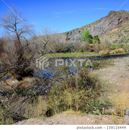 Salt River Recreation Area Arizona Salt River Recreation Area Arizona 139118444
