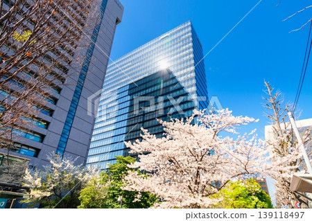 東京千代田區神田駿河台櫻花盛開。 139118497