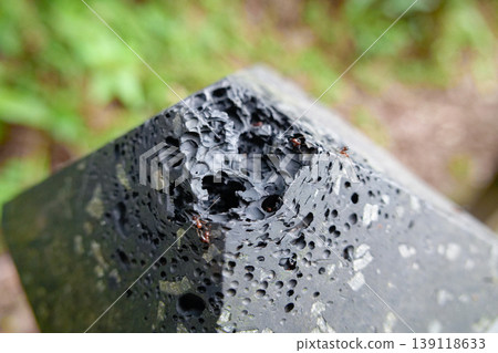 Red Ants Eroding Damaged Black Plastic Handrail Close Up Bokeh Forest Background 139118633