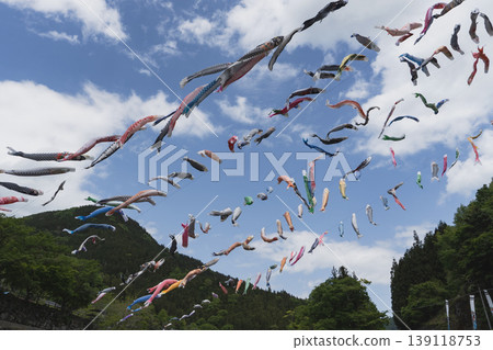 Gunma Prefecture: Kannagawa Park / Carp streamers swimming in the wind / Kanna Town, Gunma Prefecture 139118753