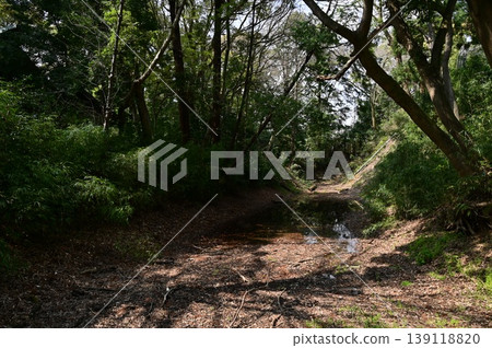 小峰來羽北護城河(小田原城) 小峰來羽北護城河(小田原城) 139118820