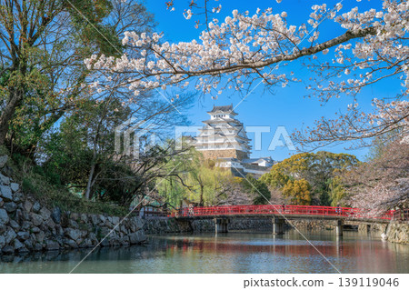 兵庫縣：櫻花與姬路城 139119046