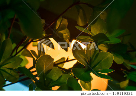 Close-up of the lamp with green leaves in the front, Home interiors, home design. For cozy indoor space. Close-up of the lamp with green leaves in the front, Home interiors, home design. For cozy indoor space. 139119321