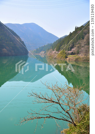 Cherry blossoms at Kasagi Gorge, Ena City, Gifu Prefecture 139119480