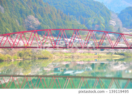 Cherry blossoms at Kasagi Gorge, Ena City, Gifu Prefecture Cherry blossoms at Kasagi Gorge, Ena City, Gifu Prefecture 139119495