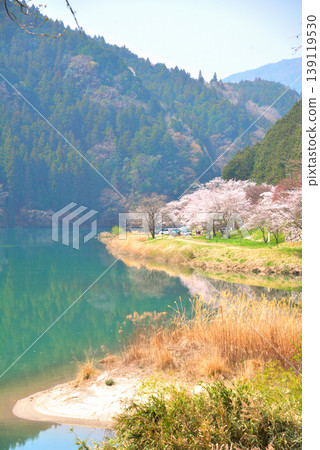 岐阜縣惠那市笠木峽谷的櫻花 139119530