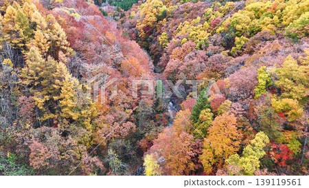 中津川谷的秋色 | 秋葉染紅溪谷的鳥瞰圖 139119561