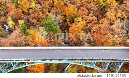 秋色掩映下的山谷大橋鳥瞰圖 | 秋季駕車風景 139119563