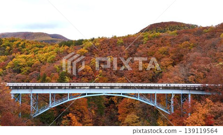 中津川谷的秋景：漫山遍野的秋葉，行人過橋。 139119564