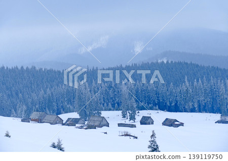 Snowy winter road in forest. Summer houses in snow-capped Carpathian mountains. Snowy winter road in forest. Summer houses in snow-capped Carpathian mountains. 139119750