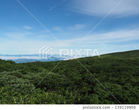 The Zao mountain range in late July (Yamagata and Miyagi prefectures) The Zao mountain range in late July (Yamagata and Miyagi prefectures) 139119908