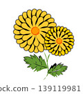 一幅用毛筆繪製的簡潔日式菊花插圖。 139119981