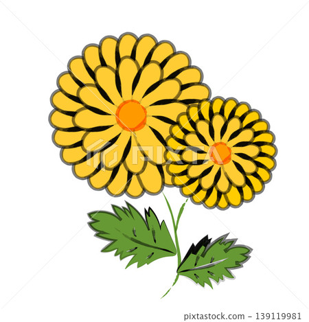 A simple, Japanese-style illustration of a chrysanthemum flower drawn with a brush. A simple, Japanese-style illustration of a chrysanthemum flower drawn with a brush. 139119981