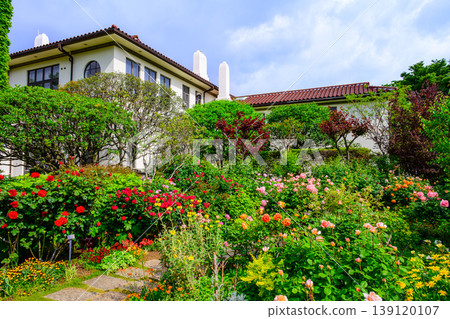 盛開的玫瑰與橫濱英國之家:港景公園充滿活力的初夏景象。 盛開的玫瑰與橫濱英國之家:港景公園充滿活力的初夏景象。 139120107