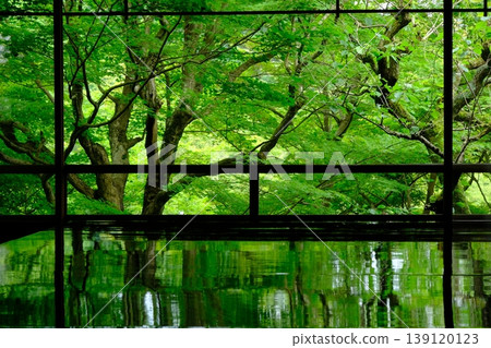 Scenery of green maples and Shoin Scenery of green maples and Shoin 139120123
