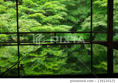 Scenery of green maples and Shoin 139120125