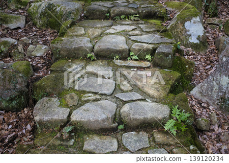 A stone-paved path leading deep into the mountains A stone-paved path leading deep into the mountains 139120234