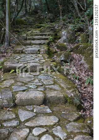 A stone-paved path leading deep into the mountains A stone-paved path leading deep into the mountains 139120237