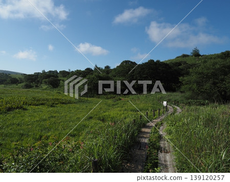 Yashima Marshland in early August (Suwa City and Shimosuwa Town, Nagano Prefecture) Yashima Marshland in early August (Suwa City and Shimosuwa Town, Nagano Prefecture) 139120257